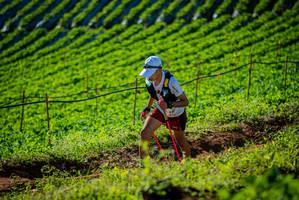 BIB: 
                            <button type="button" onclick="openModal(19160523)" class="btn btn-primary btn-sm float-right btn-popup" data-toggle="modal" data-target=".modal-high-quality">
                        <i class="fas fa-shopping-cart"></i> Add to Cart
                    </button>
                                            <button type="button" onclick="isThisMe(19160523, true)" class="btn btn-success btn-sm float-right btn-popup btn-isme hidden" data-toggle="tooltip" data-placement="bottom" title="นี่คือรูปของคุณใช่ไหม คลิกที่นี่เพื่อเอาเข้าอัลบั้ม">
                        <i class="fas fa-plus"></i> Add to album
                    </button>
                    <button type="button" onclick="isThisMe(19160523, false)" class="btn btn-warning btn-sm float-right btn-popup btn-isnotme hidden">
                        <i class="fas fa-ban"></i> Remove from album
                    </button>